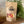 Load image into Gallery viewer, Sweet Peach CBD Gummies
